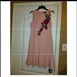 Lovely Dress Pink Dress
